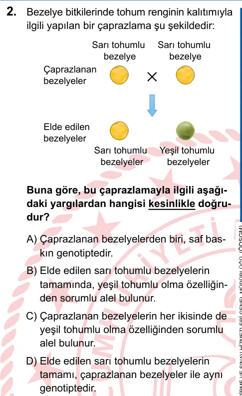 LGS 2025 Sayısal Fen Bilimleri 2. Soru görseli