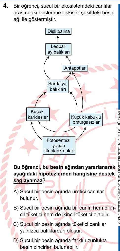 LGS 2025 Sayısal Fen Bilimleri 4. Soru görseli