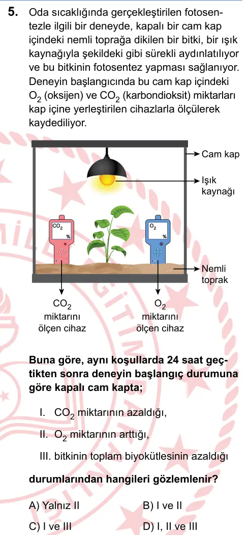 LGS 2025 Sayısal Fen Bilimleri 5. Soru görseli