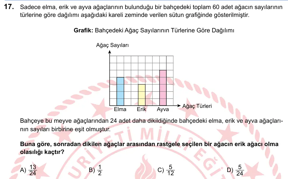 LGS 2025 Sayısal Matematik 17. Soru görseli