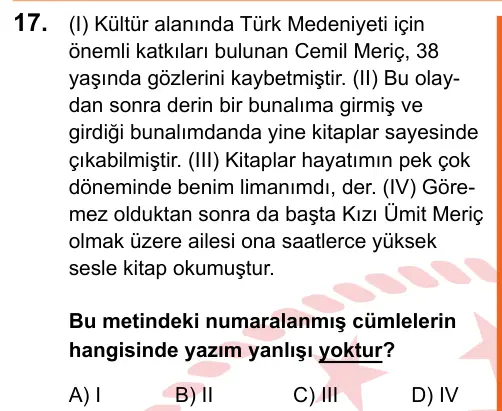 LGS 2025 Sözel Türkçe 17. Soru görseli