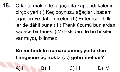 LGS 2025 Sözel Türkçe 18. Soru görseli