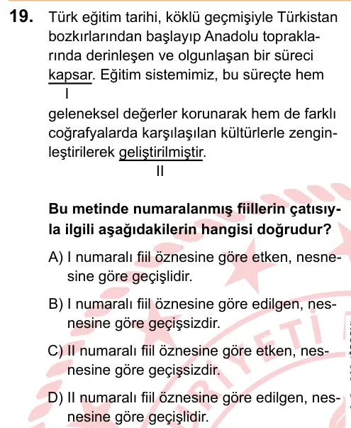 LGS 2025 Sözel Türkçe 19. Soru görseli