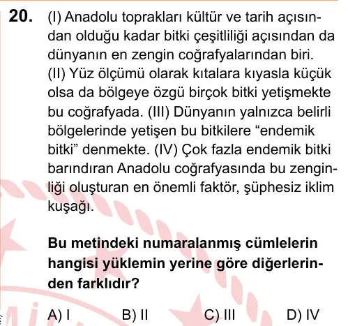LGS 2025 Sözel Türkçe 20. Soru görseli