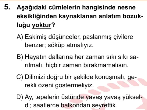 LGS 2025 Sözel Türkçe 5. Soru görseli