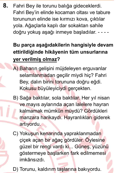 LGS 2025 Sözel Türkçe 8. Soru görseli