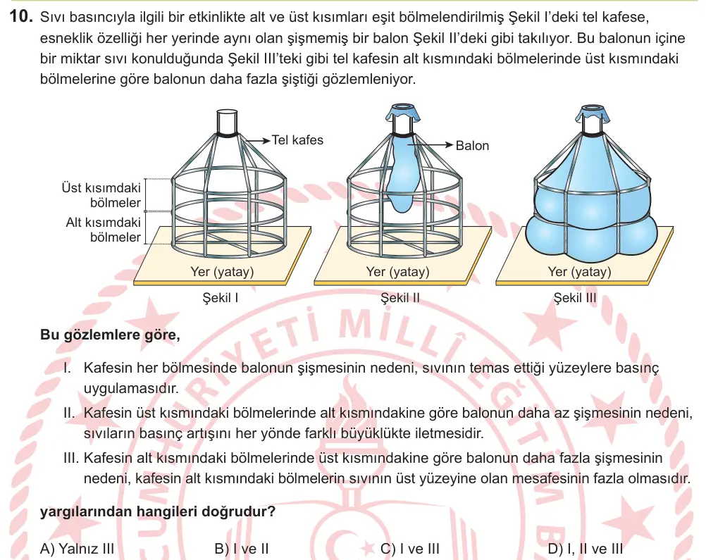 LGS 2026 Sayısal Fen Bilimleri 10. Soru görseli