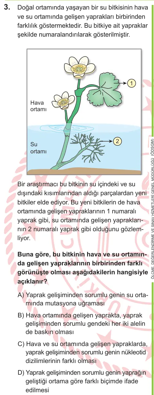 LGS 2026 Sayısal Fen Bilimleri 3. Soru görseli
