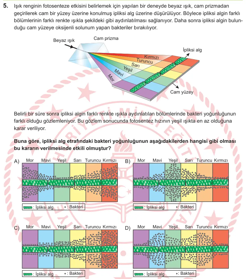 LGS 2026 Sayısal Fen Bilimleri 5. Soru görseli