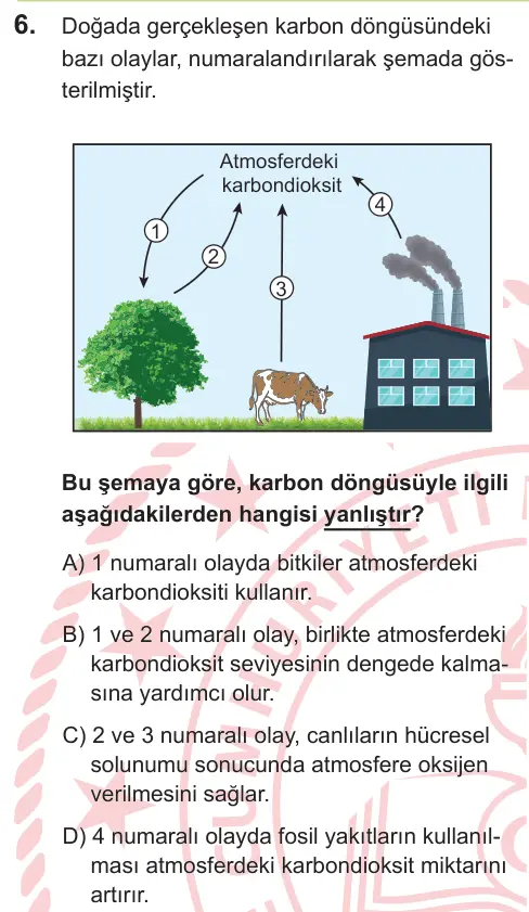 LGS 2026 Sayısal Fen Bilimleri 6. Soru görseli