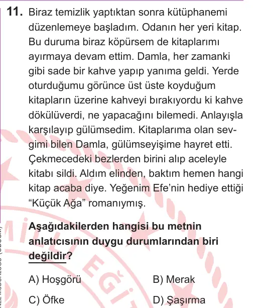 LGS 2026 Sözel Türkçe 11. Soru görseli