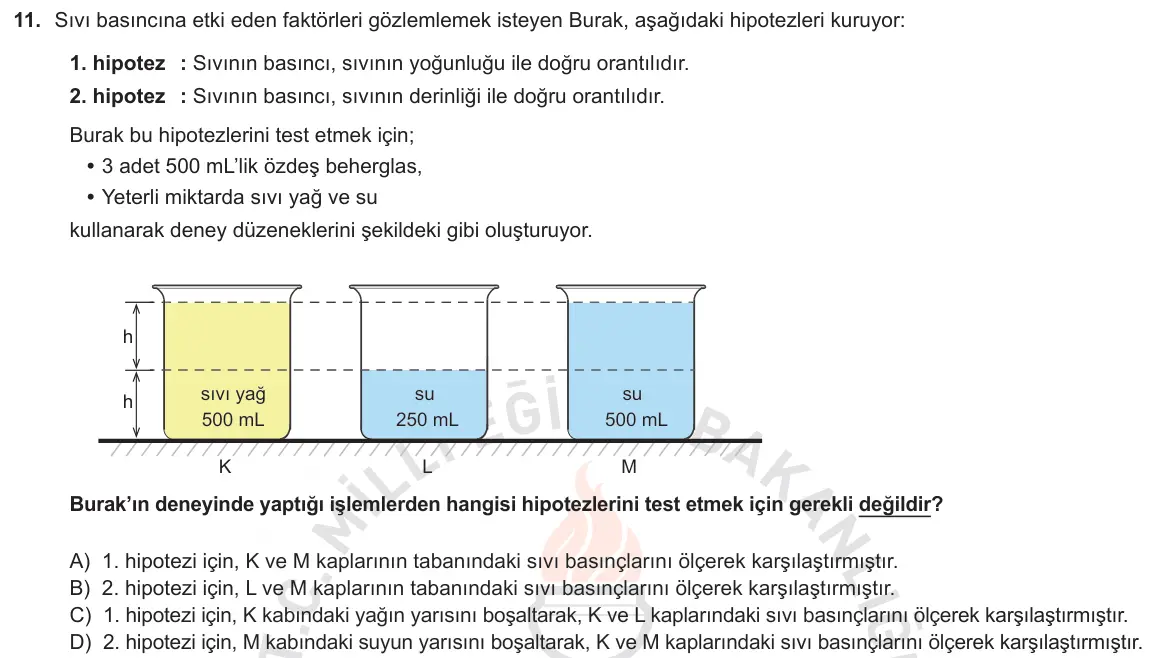 LGS Örnek Soruları Aralık 2018 Sayısal Fen Bilimleri 11. Soru görseli