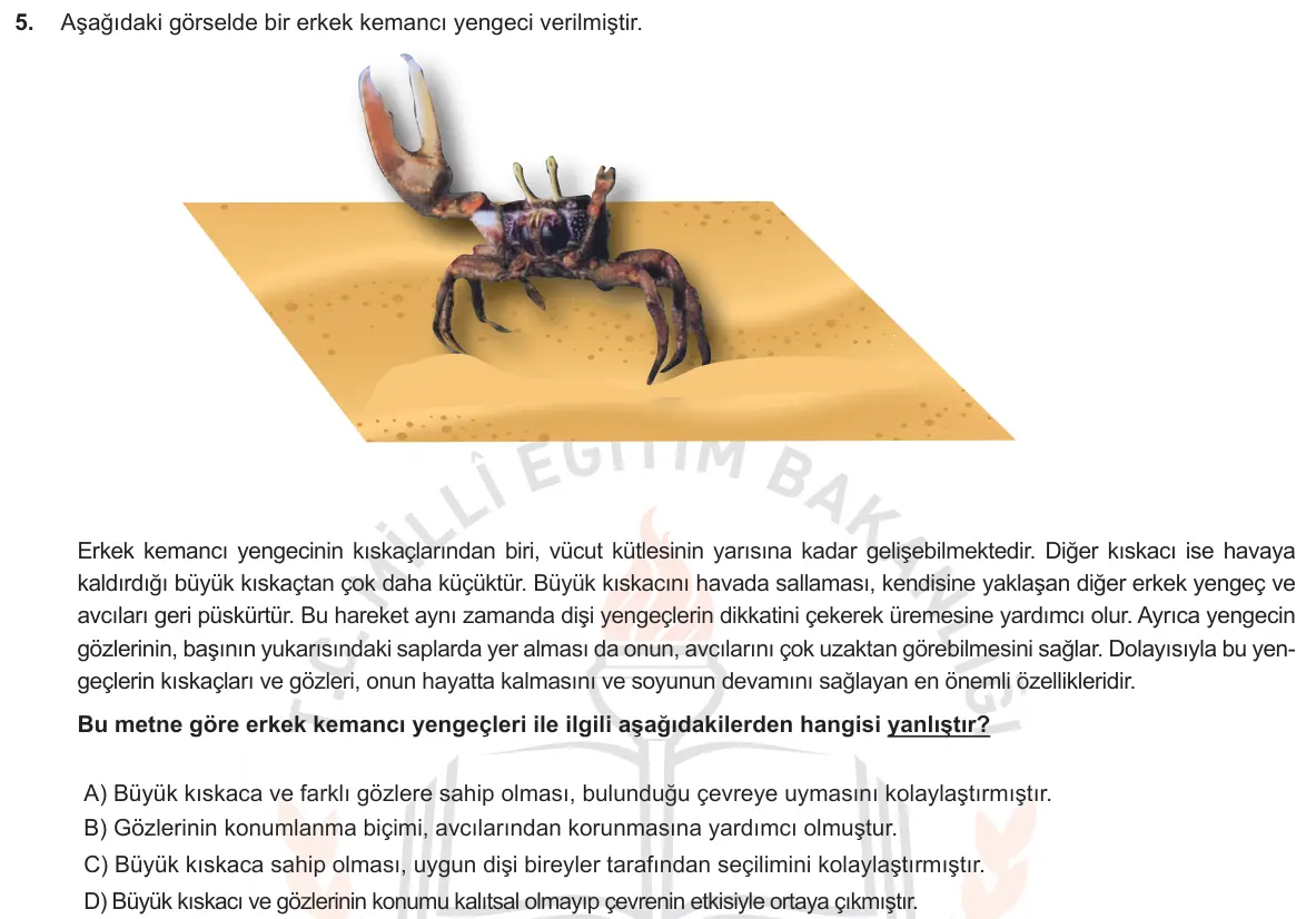 LGS Örnek Soruları Aralık 2018 Sayısal Fen Bilimleri 5. Soru görseli