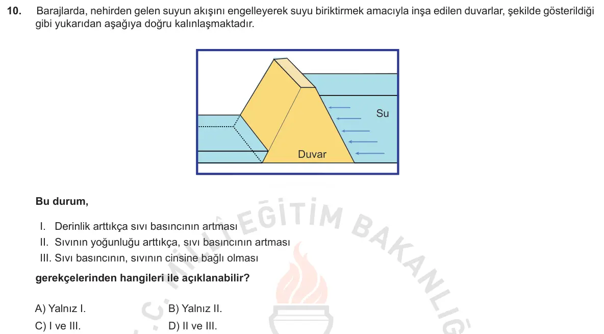 LGS Örnek Soruları Kasım 2018 Sayısal Fen Bilimleri 10. Soru görseli