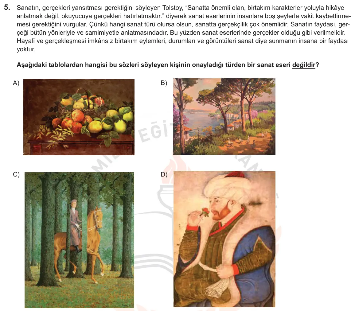 LGS Örnek Soruları Kasım 2018 Sözel Türkçe 5. Soru görseli