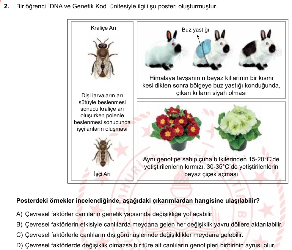 LGS Örnek Soruları Mart 2019 Sayısal Fen Bilimleri 2. Soru görseli