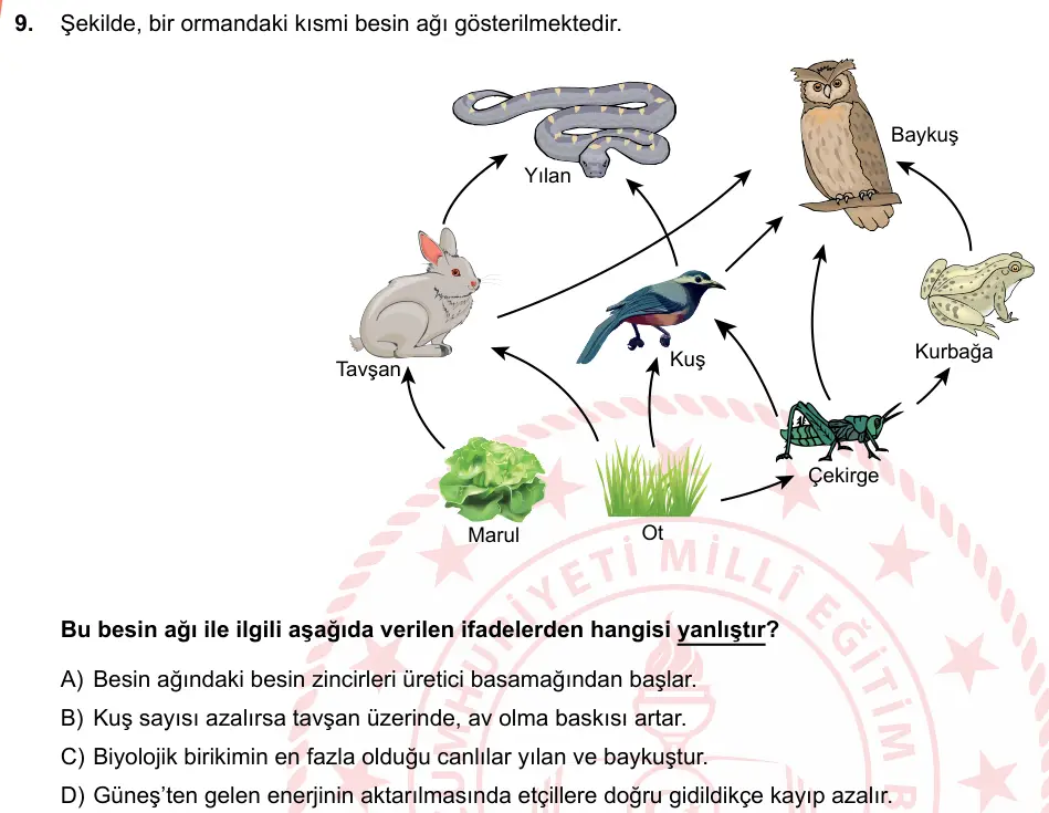 LGS Örnek Soruları Mart 2019 Sayısal Fen Bilimleri 9. Soru görseli