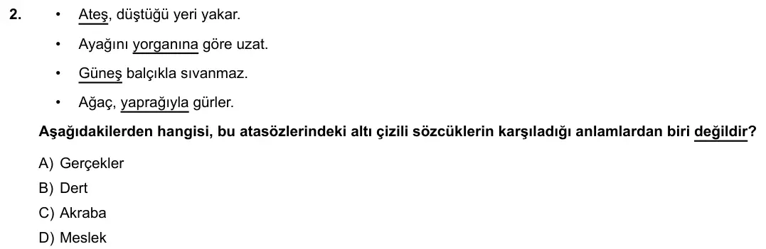LGS Örnek Soruları Mart 2019 Sözel Türkçe 2. Soru görseli