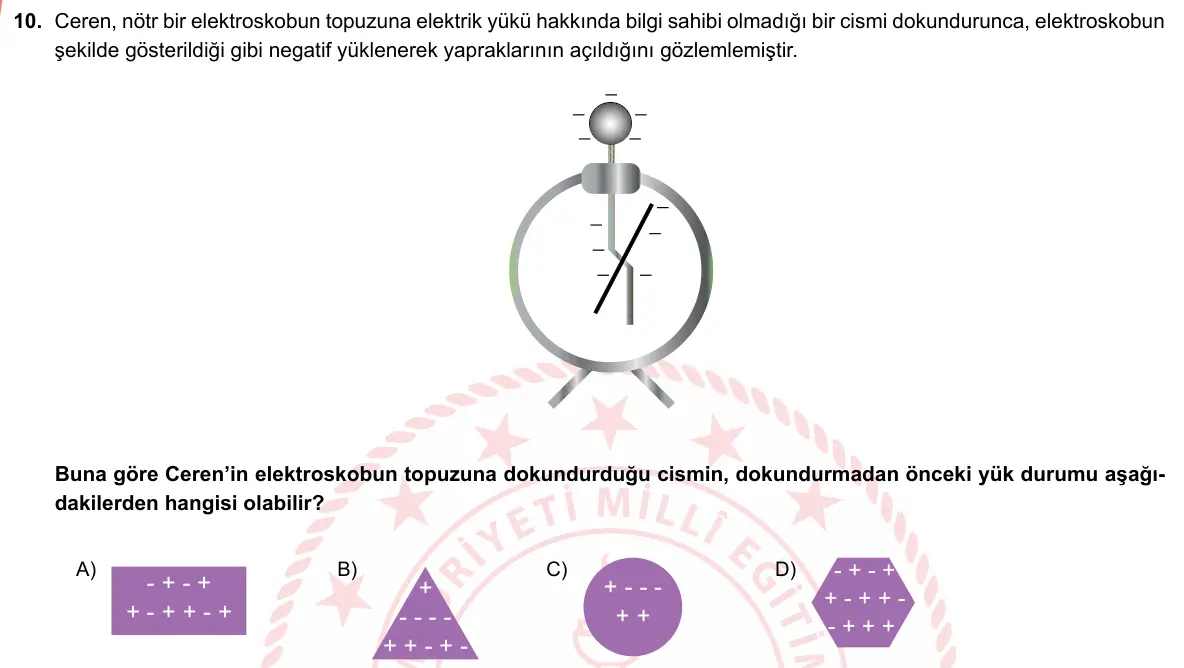 LGS Örnek Soruları Mayıs 2019 Sayısal Fen Bilimleri 10. Soru görseli