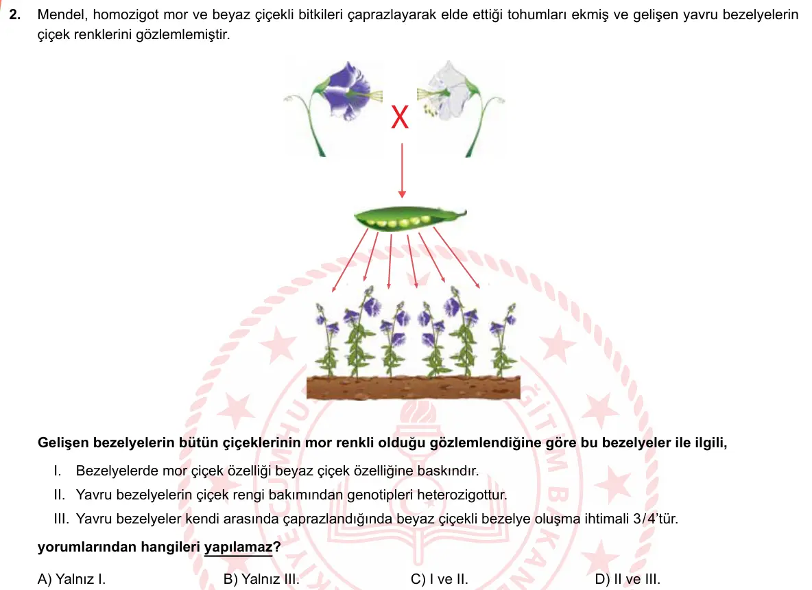 LGS Örnek Soruları Mayıs 2019 Sayısal Fen Bilimleri 2. Soru görseli