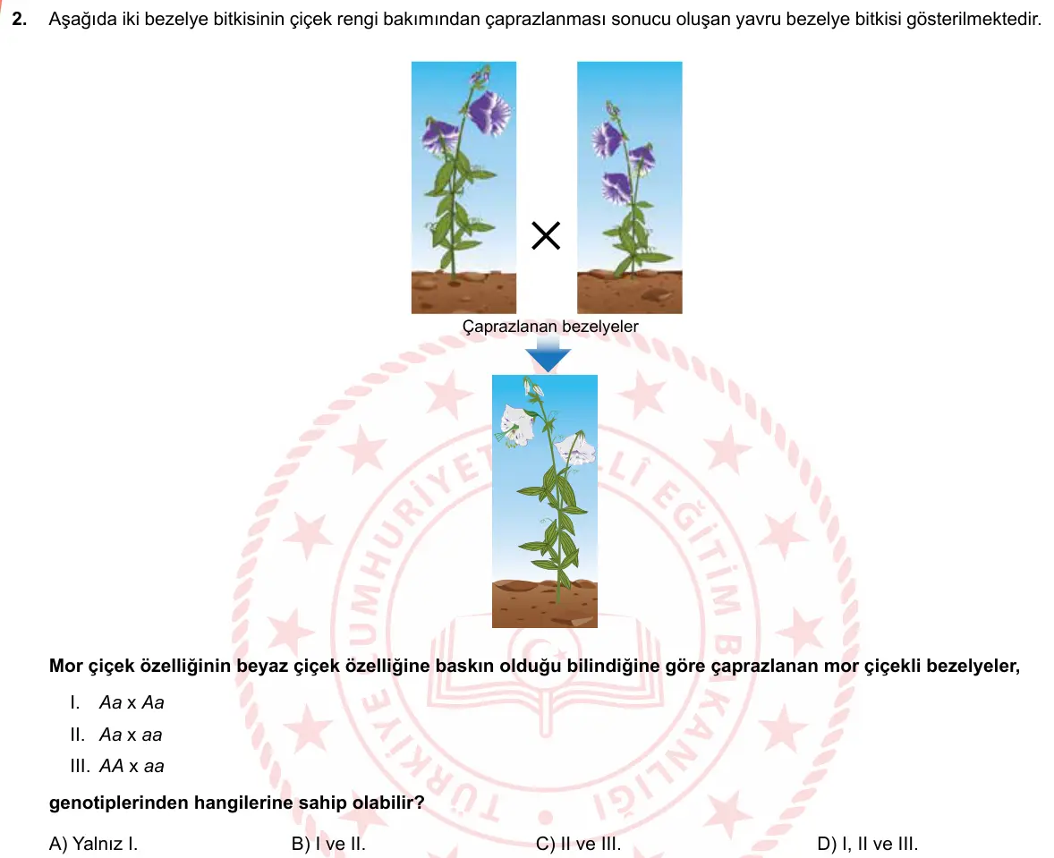 LGS Örnek Soruları Nisan 2019 Sayısal Fen Bilimleri 2. Soru görseli