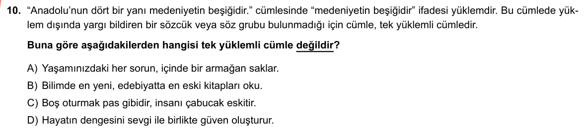 LGS Örnek Soruları Nisan 2019 Sözel Türkçe 10. Soru görseli