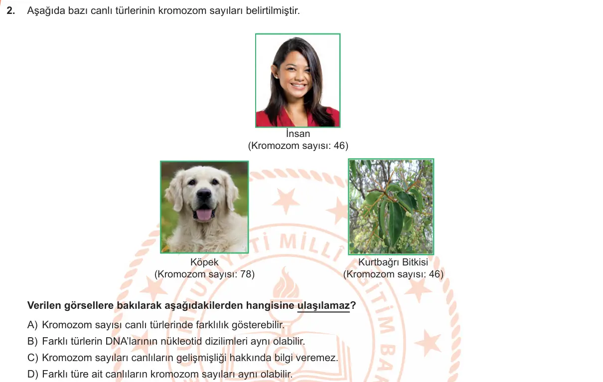 LGS Örnek Soruları Ocak 2019 Sayısal Fen Bilimleri 2. Soru görseli