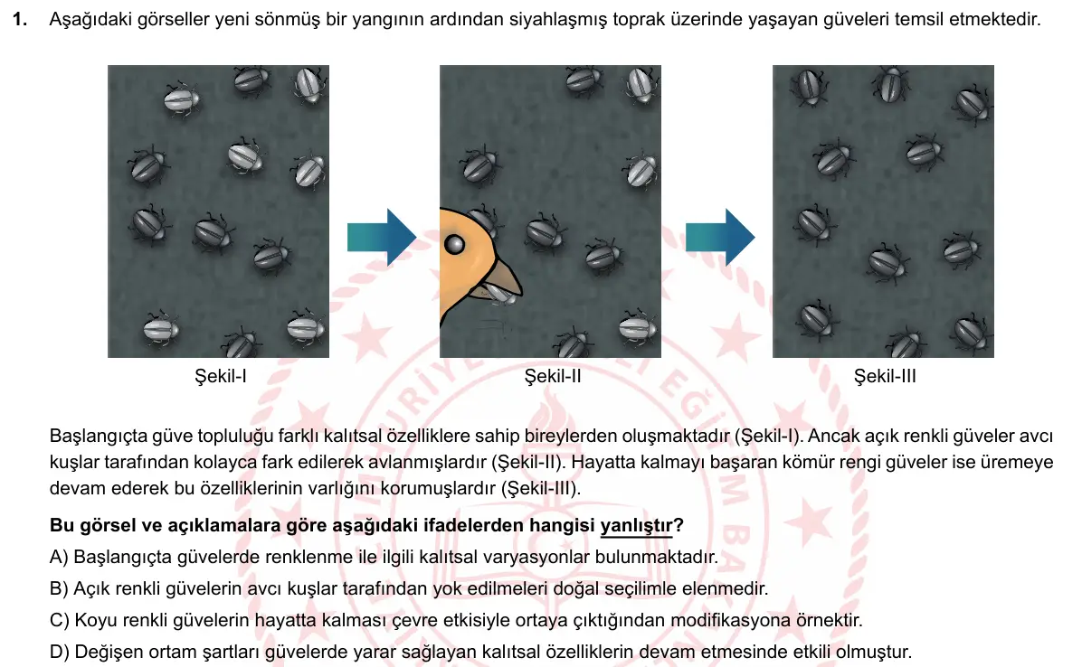 LGS Örnek Soruları Şubat 2019 Sayısal Fen Bilimleri 1. Soru görseli