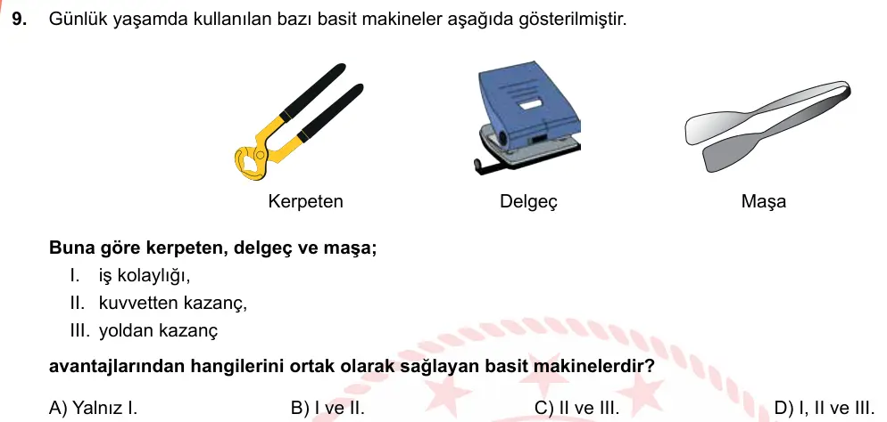 LGS Örnek Soruları Şubat 2019 Sayısal Fen Bilimleri 9. Soru görseli