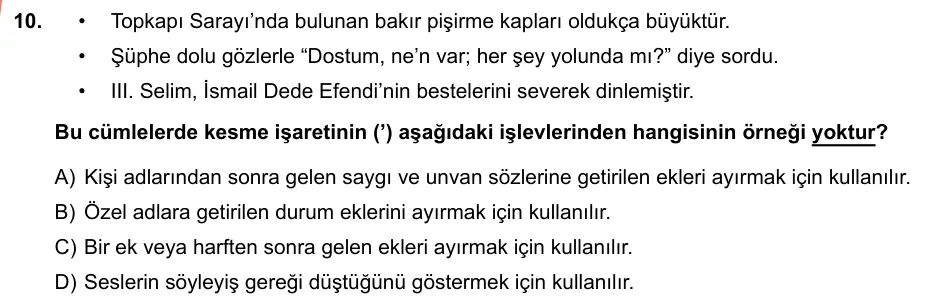 LGS Örnek Soruları Şubat 2019 Sözel Türkçe 10. Soru görseli