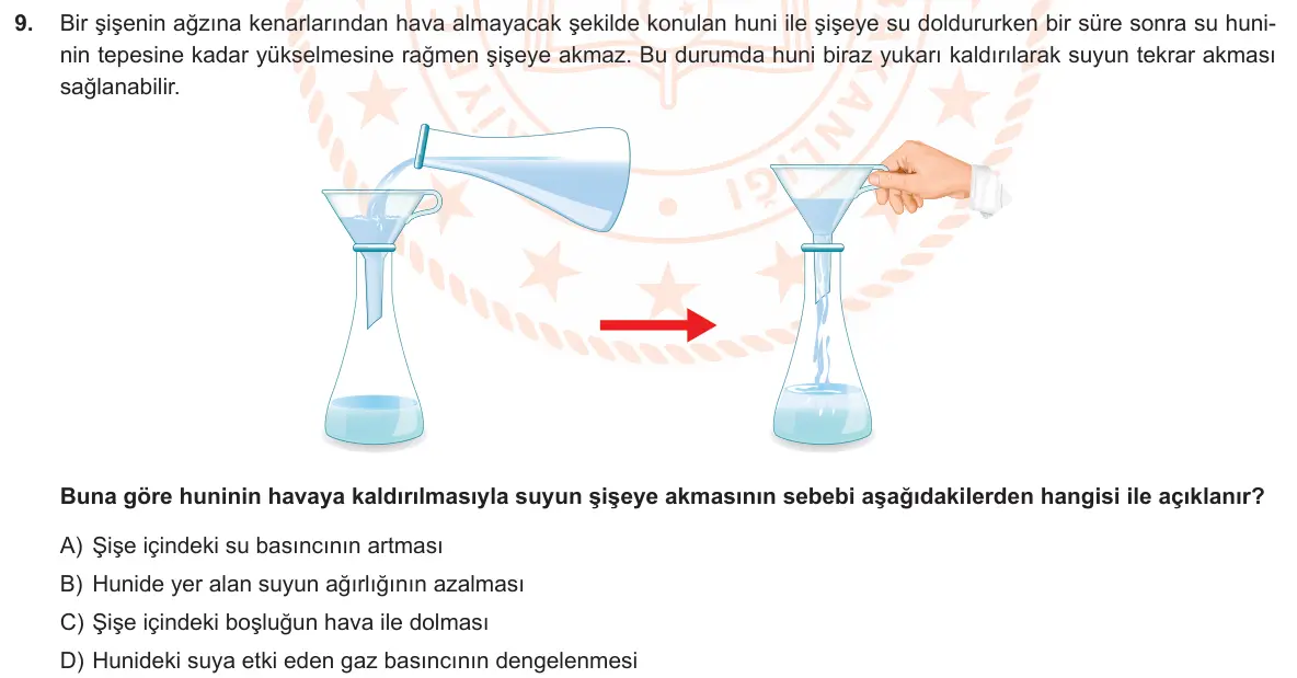 LGS Örnek Soruları Aralık 2019 Sayısal Fen Bilimleri 9. Soru görseli