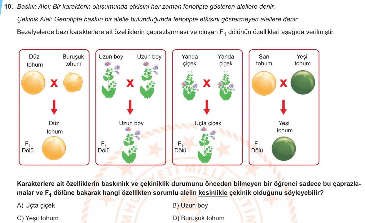 LGS Örnek Soruları Ekim 2019 Sayısal Fen Bilimleri 10. Soru görseli