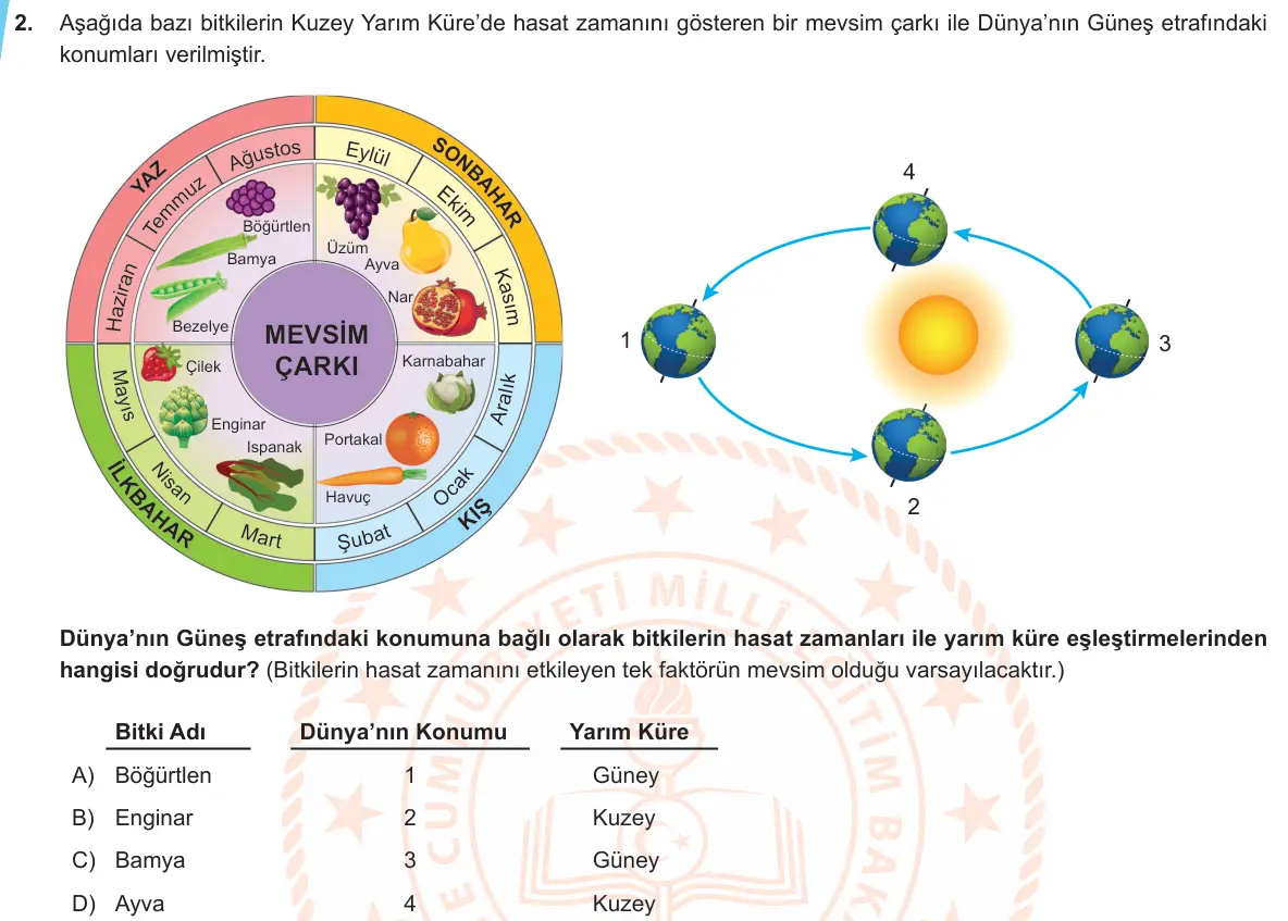 LGS Örnek Soruları Ekim 2019 Sayısal Fen Bilimleri 2. Soru görseli