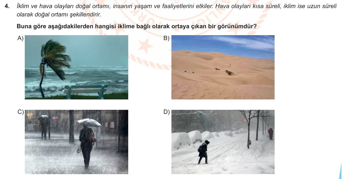 LGS Örnek Soruları Ekim 2019 Sayısal Fen Bilimleri 4. Soru görseli
