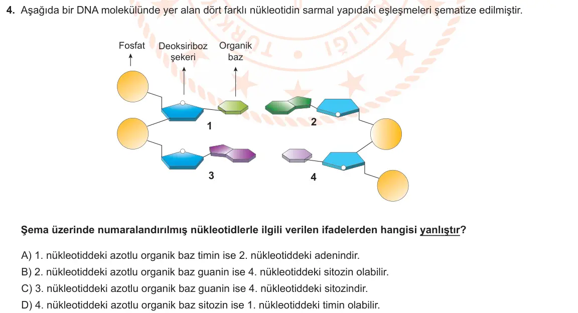 LGS Örnek Soruları Kasım 2019 Sayısal Fen Bilimleri 4. Soru görseli