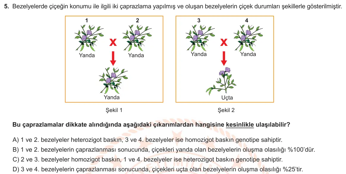 LGS Örnek Soruları Kasım 2019 Sayısal Fen Bilimleri 5. Soru görseli