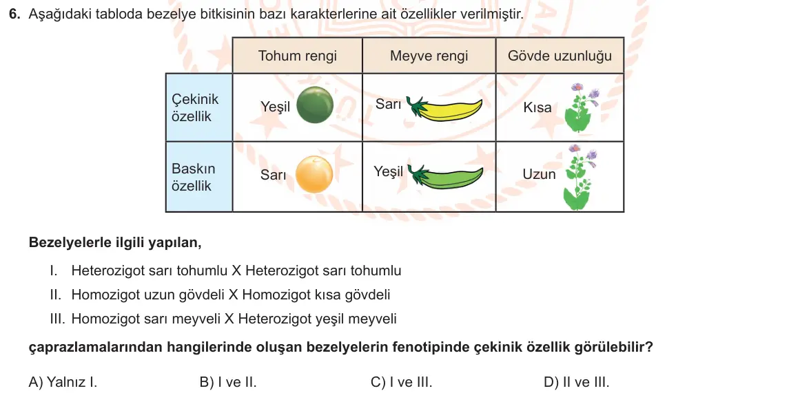 LGS Örnek Soruları Kasım 2019 Sayısal Fen Bilimleri 6. Soru görseli