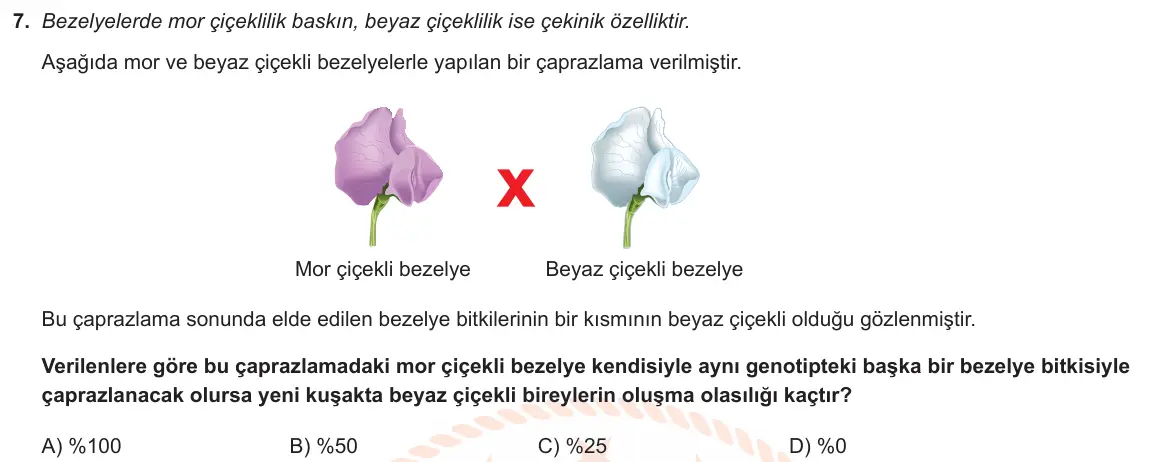 LGS Örnek Soruları Kasım 2019 Sayısal Fen Bilimleri 7. Soru görseli