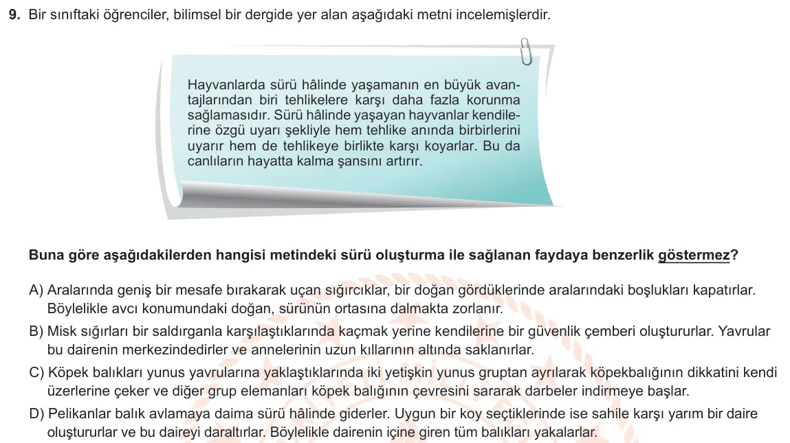 LGS Örnek Soruları Kasım 2019 Sayısal Fen Bilimleri 9. Soru görseli