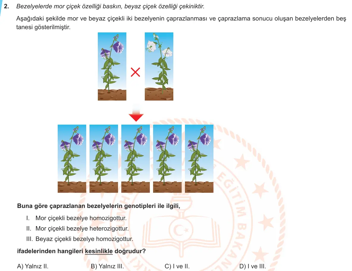 LGS Örnek Soruları Mart 2020 Sayısal Fen Bilimleri 2. Soru görseli
