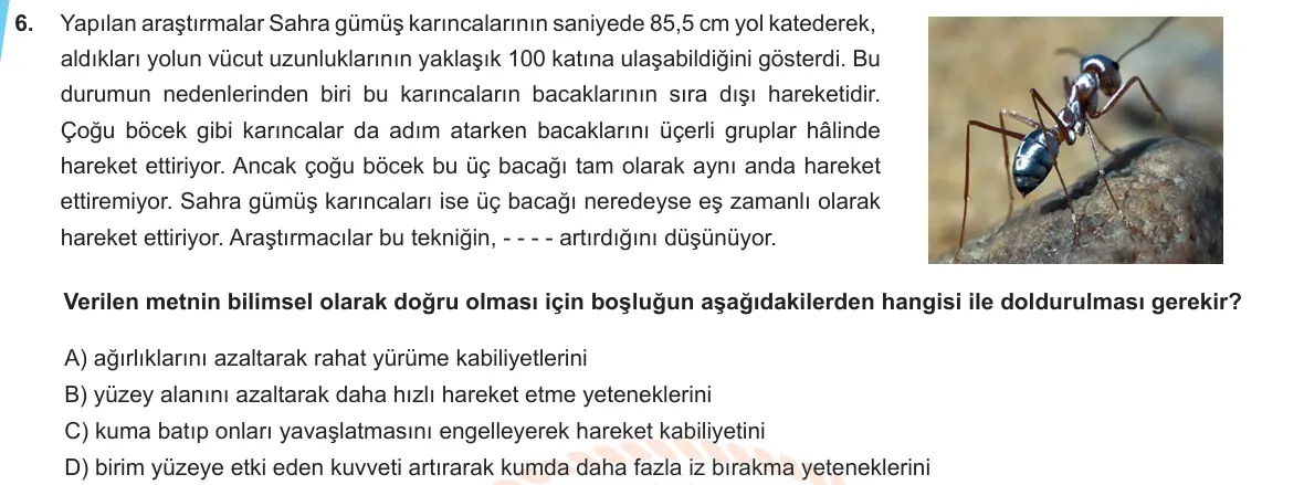 LGS Örnek Soruları Mart 2020 Sayısal Fen Bilimleri 6. Soru görseli