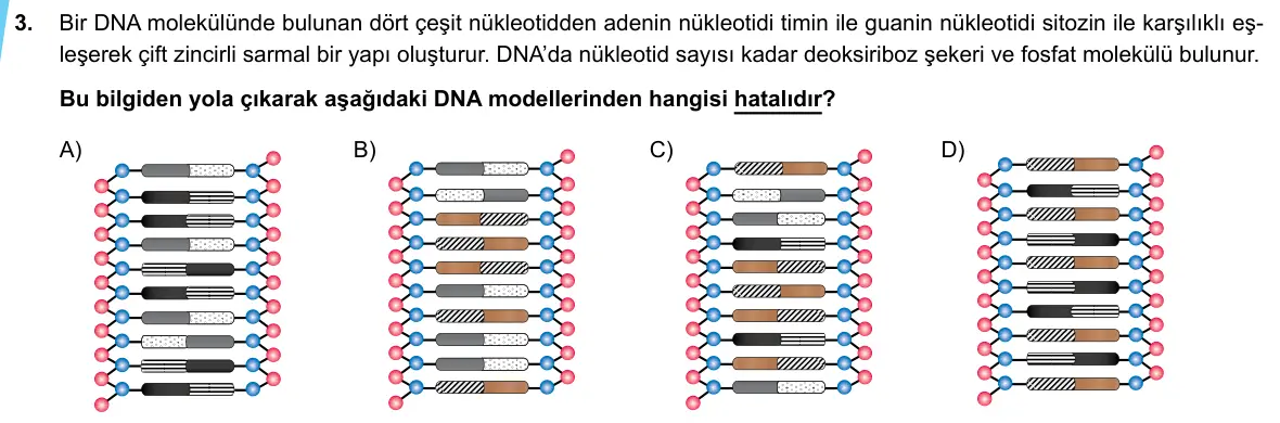 LGS Örnek Soruları Mayıs 2020 Sayısal Fen Bilimleri 3. Soru görseli