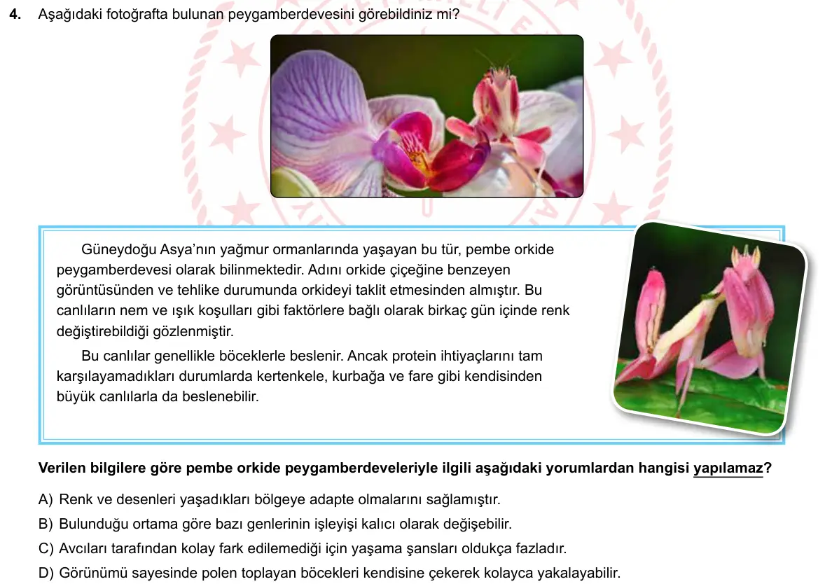 LGS Örnek Soruları Mayıs 2020 Sayısal Fen Bilimleri 4. Soru görseli
