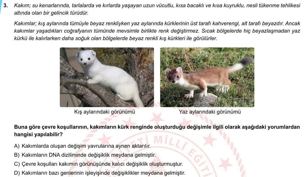 LGS Örnek Soruları Nisan 2020 Sayısal Fen Bilimleri 3. Soru görseli