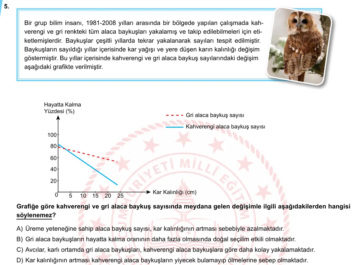 LGS Örnek Soruları Nisan 2020 Sayısal Fen Bilimleri 5. Soru görseli