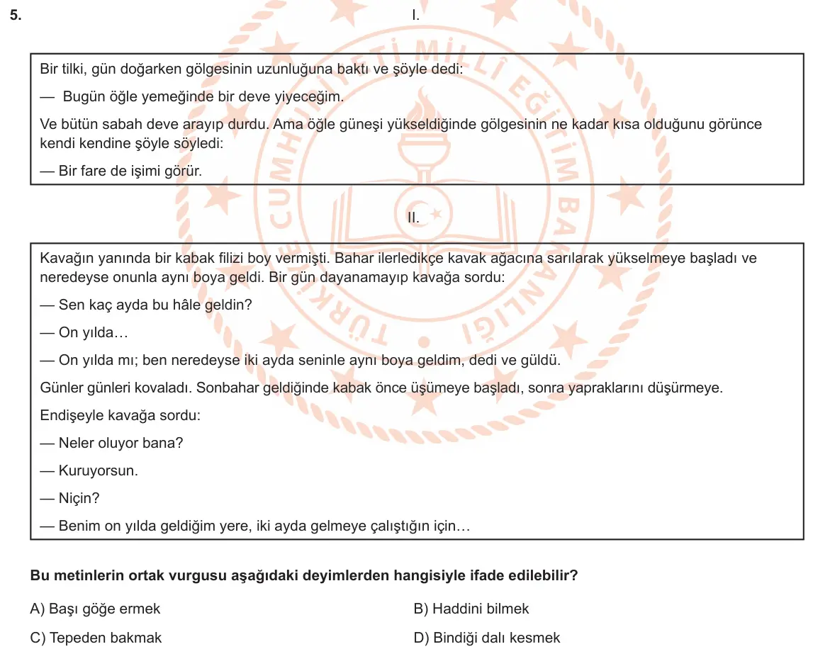 LGS Örnek Soruları Nisan 2020 Sözel (1. set) Türkçe 5. Soru görseli