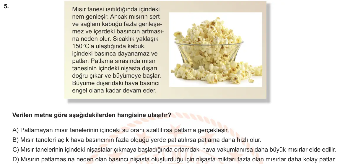 LGS Örnek Soruları Ocak 2020 Sayısal Fen Bilimleri 5. Soru görseli