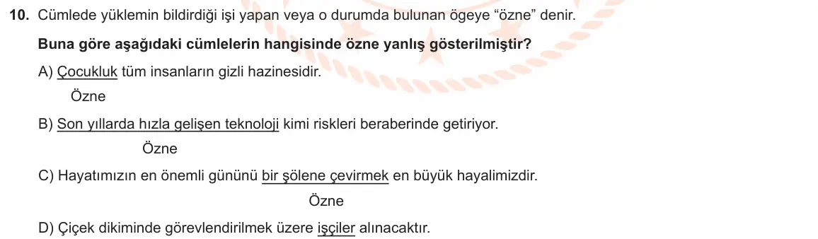 LGS Örnek Soruları Ocak 2020 Sözel Türkçe 10. Soru görseli