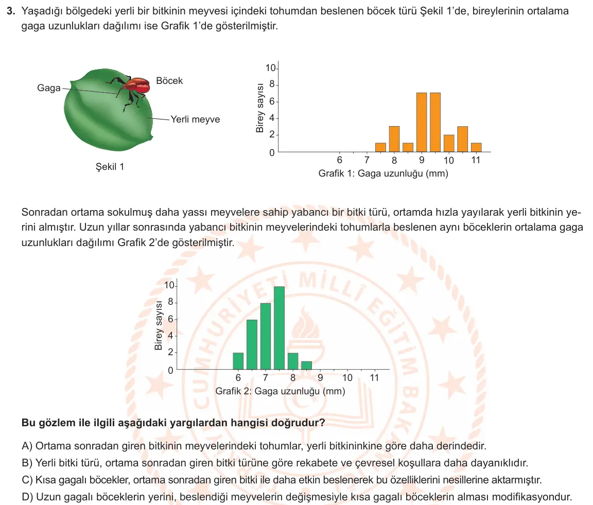 LGS Örnek Soruları Şubat 2020 Sayısal Fen Bilimleri 3. Soru görseli