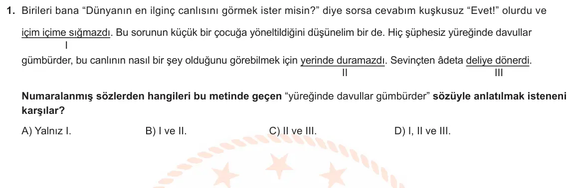 LGS Örnek Soruları Şubat 2020 Sözel Türkçe 1. Soru görseli